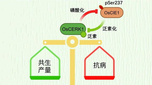 今日生物科技新闻速览05月16日